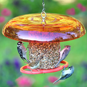 Duncraft Red Baffled Seed Cylinder Feeder with birds feeding, featuring circular perches and a squirrel baffle, designed for easy top filling and versatile seed log use.