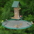 30 Seed Hoop: birds feeding on a mesh hoop attached to a feeder, preventing seed waste and offering a landing spot for larger birds.