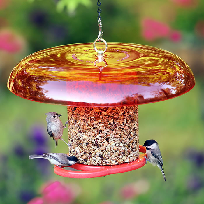 Duncraft Red Baffled Seed Cylinder Feeder with birds feeding. Features tilt-top baffle, circular perches, and center hanging rod for easy filling and cleaning.