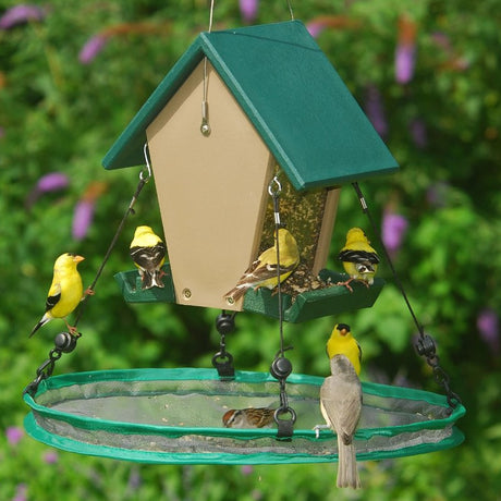 16 Seed Hoop under bird feeder with birds perched, catching scattered seeds, keeping feeding area clean.