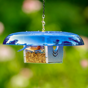 Duncraft Baffled Bluebird Mealworm Feeder