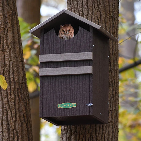 Duncraft Screech/Saw-Whet Owl Nesting Box mounted on tree, featuring a peeking Eastern Screech Owl, highlighting its durable design and built-in ventilation features.