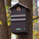 Duncraft Screech/Saw-Whet Owl Nesting Box mounted on tree, featuring a peeking Eastern Screech Owl, highlighting its durable design and built-in ventilation features.