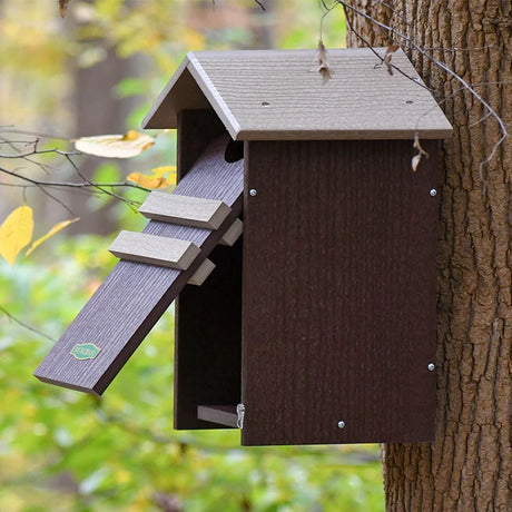 Duncraft Screech/Saw-Whet Owl Nesting Box, Dark Brown, mounted on tree; features hinged front panel, fledgling ladder, and ventilation for easy owl access and maintenance.