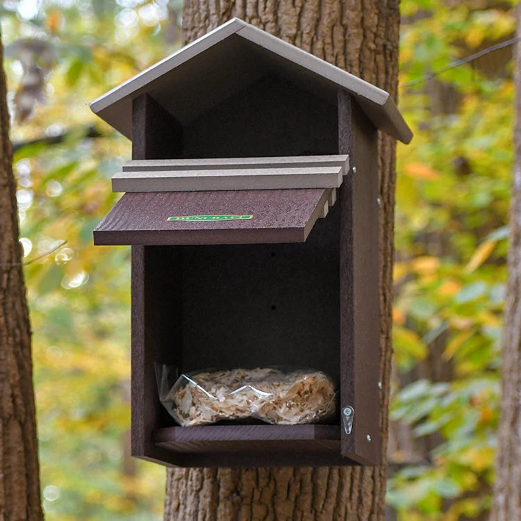 Duncraft Screech/Saw-Whet Owl Nesting Box, Dark Brown, mounted on a tree with its front flap open, revealing nesting material inside.
