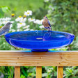 Duncraft Blue Deck Mount Bird Bath with a small fountain, two songbirds perched on rim, mounted on a wooden railing for close birdwatching.