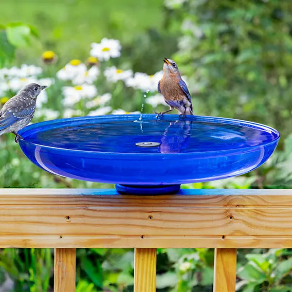 Duncraft Blue Deck Mount Bird Bath with a small fountain, two songbirds perched on rim, mounted on a wooden railing for close birdwatching.