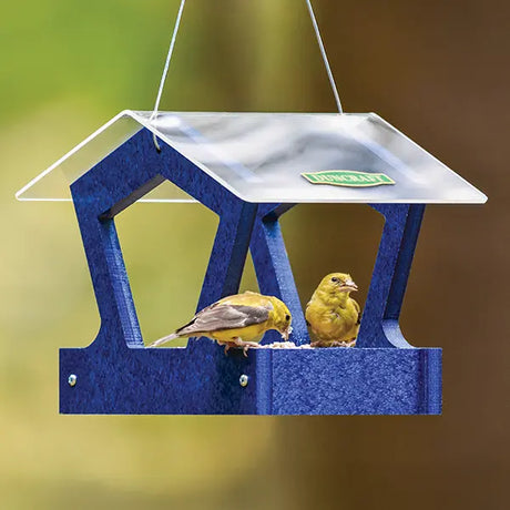 Duncraft Heritage Platform Feeder, Navy Blue: a hanging bird feeder with a clear roof, two songbirds feeding on seeds, showcasing easy access and drainage design.