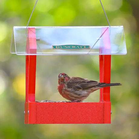 Duncraft Heritage Platform Feeder, Red, with a clear roof, showcases a house finch eating. Features fly-through design and durable mesh floor for drainage.