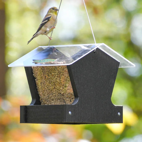Duncraft Heritage Hopper Feeder, Black, with a songbird perched above, features clear panels, metal mesh base, and a protective roof for optimal bird feeding.