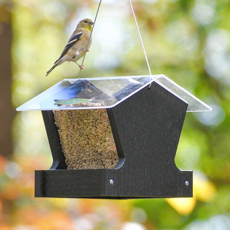 Duncraft Heritage Hopper Feeder, Black, featuring a clear roof and metal mesh base, with a finch feeding on seeds, showcasing its efficient design.