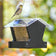 Duncraft Heritage Hopper Feeder, Black, featuring a clear roof and metal mesh base, with a finch feeding on seeds, showcasing its efficient design.