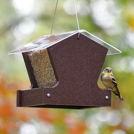 Duncraft Heritage Hopper Feeder, Milwaukee Brown, with clear roof and built-in ledge, hosts a finch enjoying seed, designed for diverse bird attraction and durability.