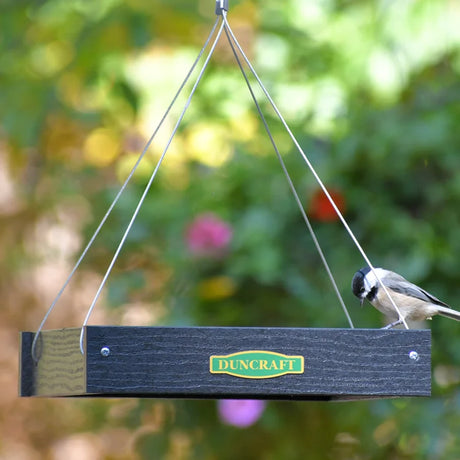Duncraft Classic Bird Safe Platform Feeder, Black, hangs with a chickadee perched on its edge, showcasing its spacious design and durable construction.