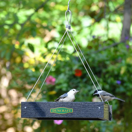 Duncraft Classic Bird Safe Platform Feeder, Black, with two songbirds perched; features open feeding area, durable recycled plastic, and metal mesh floor for drainage.