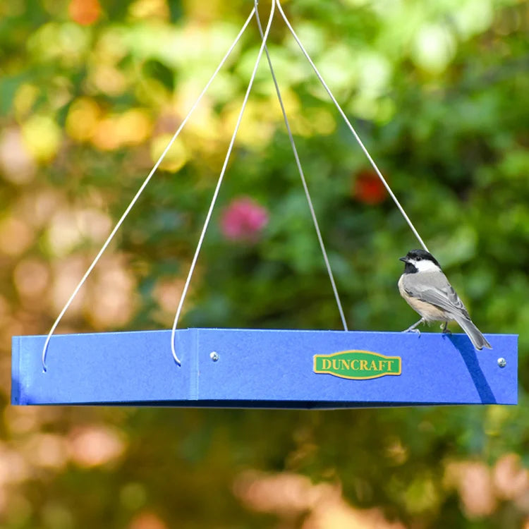 Duncraft Classic Bird Safe Platform Feeder, Royal Blue, suspended by wires, with a black-capped chickadee perched on the edge, showcasing its open tray design.
