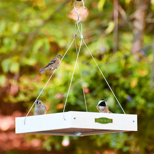 Duncraft Classic Bird Safe Platform Feeder, White, with three songbirds perched, showcasing its open design and wire suspension against a green foliage backdrop.