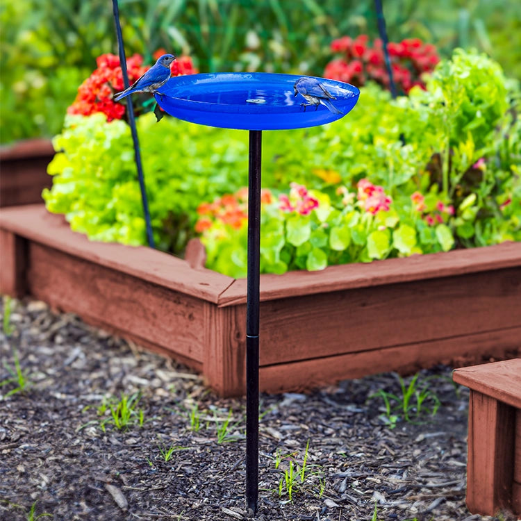 Blue bird bath with two blue birds in a garden setting