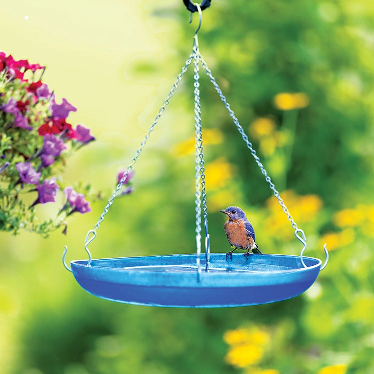 Blue bird bath with a bird perched on it, surrounded by flowers and greenery