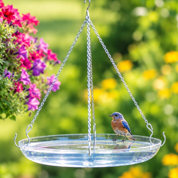 Clear hanging bird bath with bluebird perched on the rim, surrounded by colorful pink and yellow flowers in a sunny backyard garden.