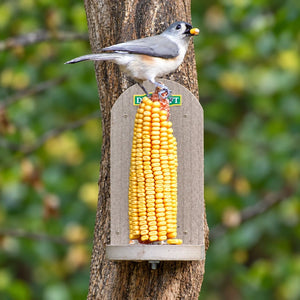 Tufted titmouse holding a corn kernel while perched above a corn cob on a tan Duncraft Squirrel Tree Stand Feeder.