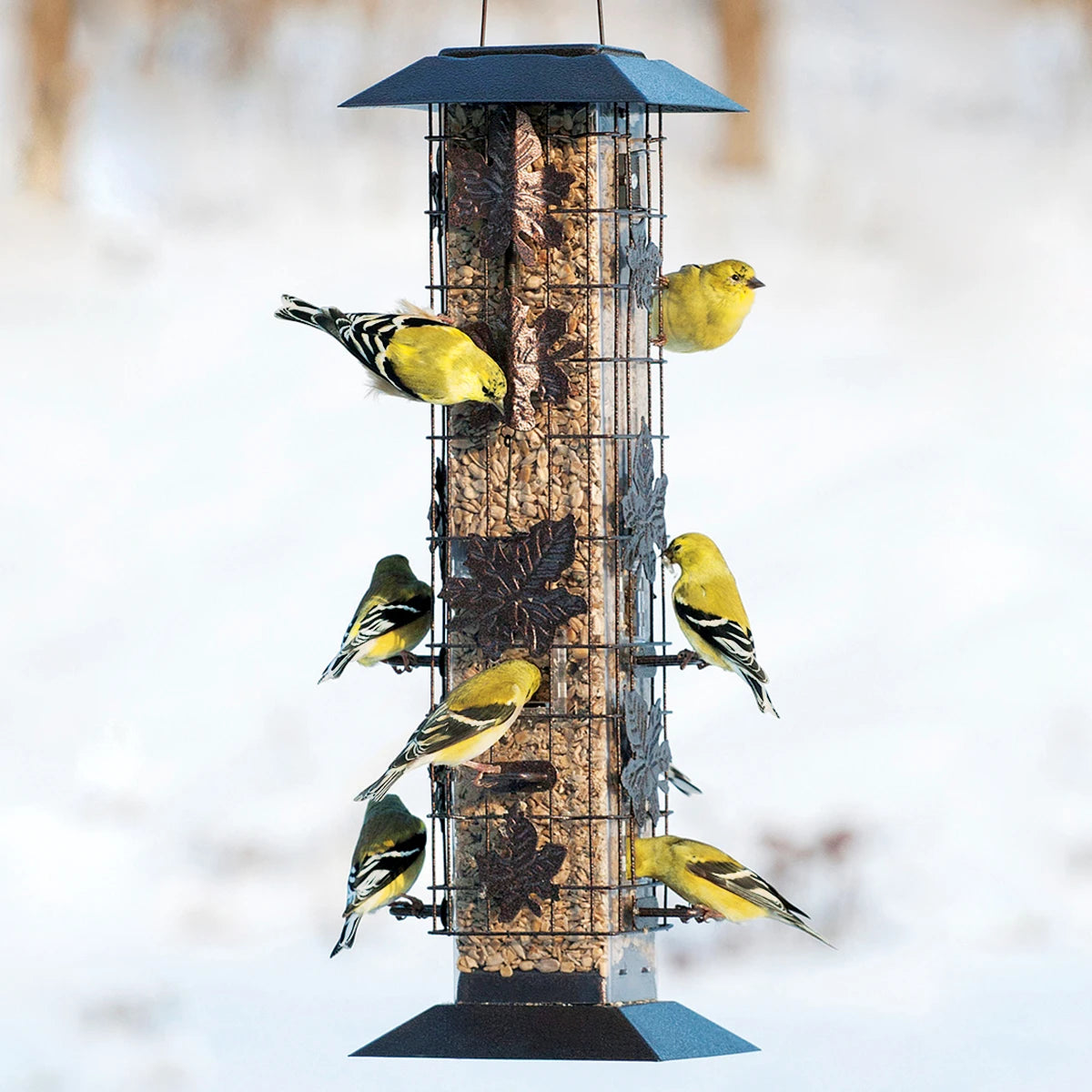 Squirrel Proof Squirrel-Be-Gone bird feeder with multiple birds eating, featuring a spring-loaded wire cage to block squirrels from accessing the feeding ports.