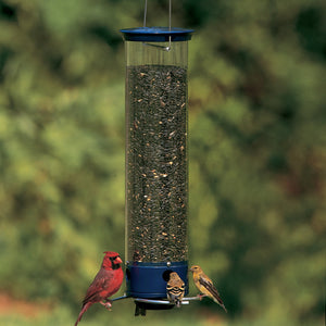 Droll Yankees Whipper Squirrel-Proof Bird Feeder with weight-sensitive perches, shown with birds feeding.