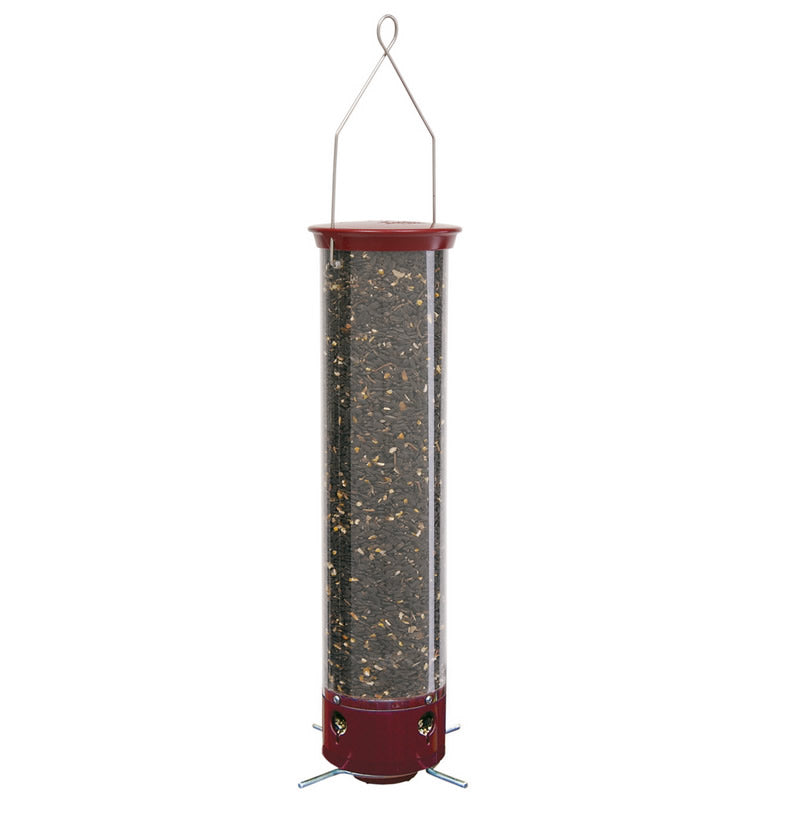 Droll Yankees Dipper Squirrel-Proof Bird Feeder, filled with seeds, featuring weight-sensitive perches that only support small songbirds, preventing larger animals from accessing the seeds.