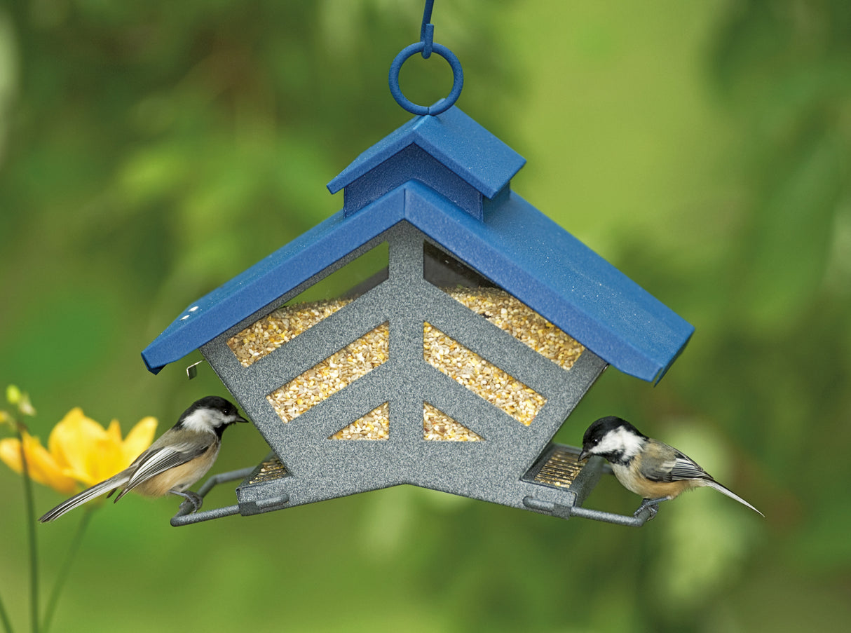 Heritage Farms Chalet Feeder with birds perching and eating, showcasing its durable all-steel design and dual-sided perching, holds 4 lbs. of seed.