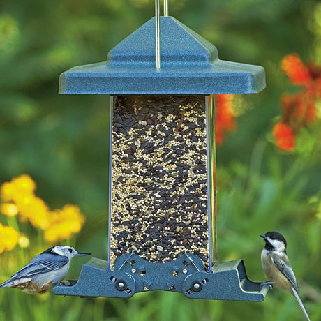 Vista Squirrel-Resistant Feeder with songbirds perched, featuring adjustable perches and clear seed reservoir for bird viewing; prevents squirrel access.