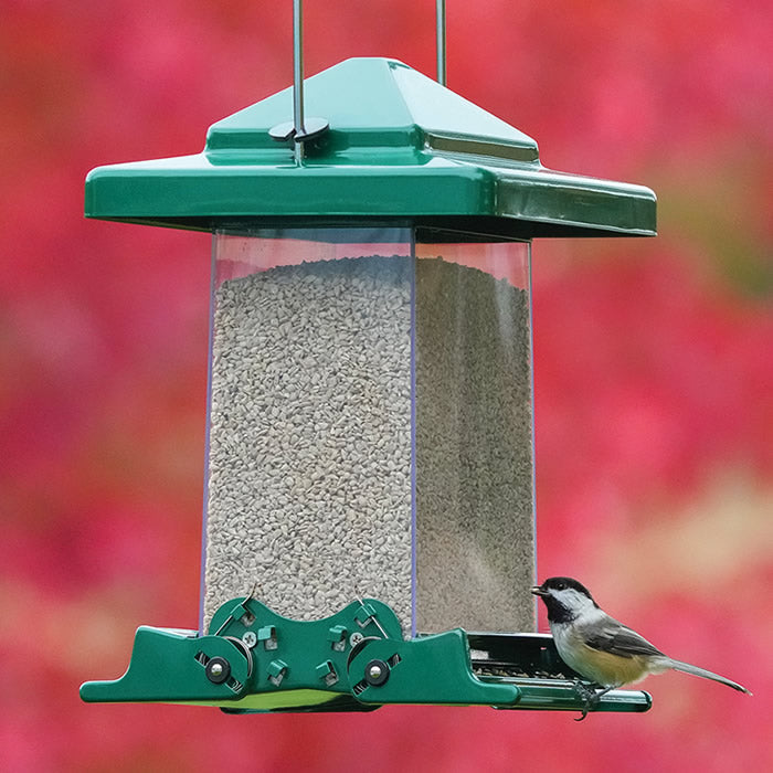 Vista Squirrel-Resistant Feeder with bird perched, showcasing two seed trays and a clear plastic seed reservoir, designed to protect seeds from squirrels and larger birds.