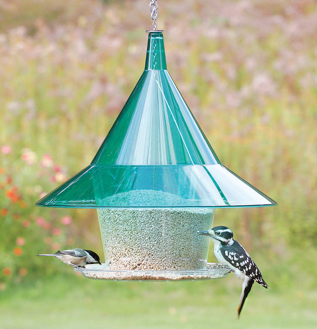 Arundale Emerald Sky Cafe bird feeder with multiple birds feeding, featuring a large see-through hopper and wide seed tray, designed to prevent squirrels from accessing the feed.