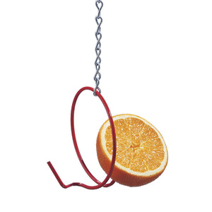 Droll Yankees Fruit Feeder: Close-up of a skewer holding a cut orange half, part of a bird feeder designed to attract fruit-loving birds.