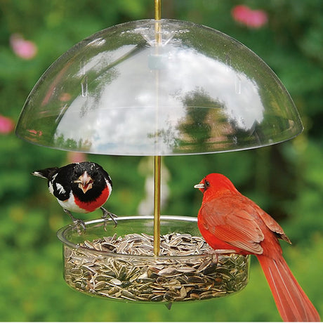 Droll Yankees Seed Saver Bird Feeder with adjustable dome, featuring a red and black bird feeding on sunflower seeds from a deep bowl.