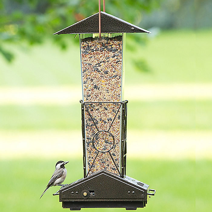 Fortress Squirrel Proof Bird Feeder with a sparrow perched on it, showing the feeder's dual-sided design and weight-activated perch system to deter squirrels.