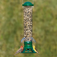 Squirrel Slammer Bird Feeder: a bird perches on the feeder, which features three weight-activated seed ports and a clear plastic baffle for squirrel prevention.