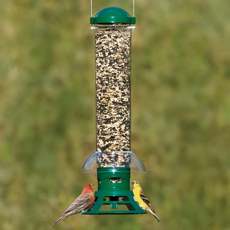 Squirrel Slammer Bird Feeder: a bird perches on the feeder, which features three weight-activated seed ports and a clear plastic baffle for squirrel prevention.