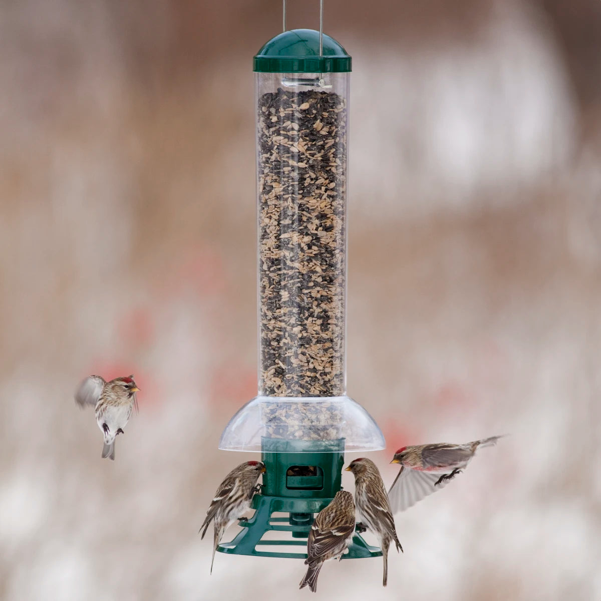 Squirrel Slammer Bird Feeder with weight-activated ports, clear plastic tube, and baffle protecting seed from elements, surrounded by birds feeding and flying. Holds 3-1/2 lbs. of seed.