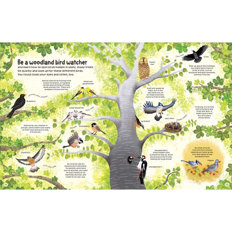 Woodland Book: Usborne features an illustrated guide with a tree and labeled woodland birds, encouraging nature exploration with tips on bird watching.