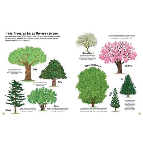 Illustrated spread from The Woodland Book showing nine labeled tree species, each with descriptions, inspiring nature exploration through engaging visuals and informative content.