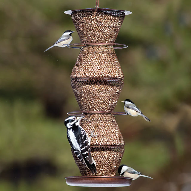 No No 5-Tier Basket bird feeder with multiple birds feeding and perched, featuring a spacious design suitable for up to 15 birds simultaneously.