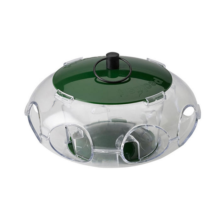 Small Bird Seed Feeder with green lid, clear plastic body, multiple feeding stations, and wide click top lid for easy filling and cleaning.