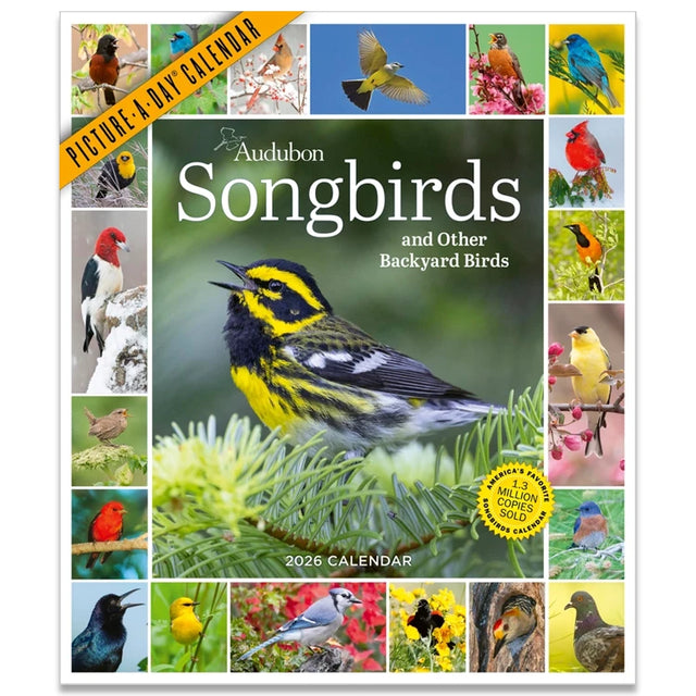 Audubon Songbirds Picture-A-Day Wall Calendar 2026 cover showing a Townsend's Warbler and thumbnail photos of colorful backyard birds, highlighting vibrant bird photography.