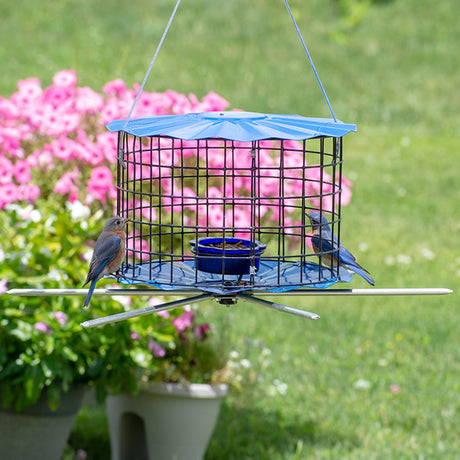 Erva Baffled Bluebird Feeder with Perch Accessory, featuring six perches and a caged design, with a bluebird inside.