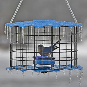 Erva Baffled Bluebird Feeder in a cage with icicles, designed to keep larger birds out, featuring a glass dish and metal baffles.