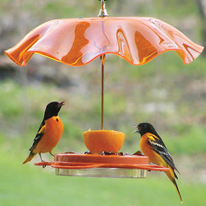 Orange Swirl Weather Guard shielding bird feeder with two birds eating, featuring scalloped edges and brass fittings for hanging.