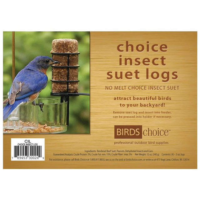 Bluebird perched on a glass feeder holding Insect, 4 Suet Logs, attracting various bird species with a mix of insects, suet, peanuts, and corn.