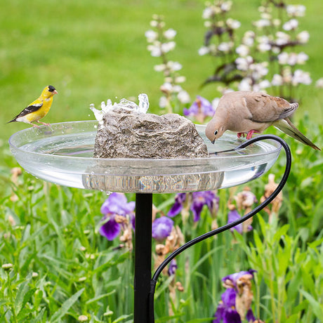 Stonecreek Waterfall Rock Pump in a birdbath, with a bird drinking from the water, creating a peaceful environment.