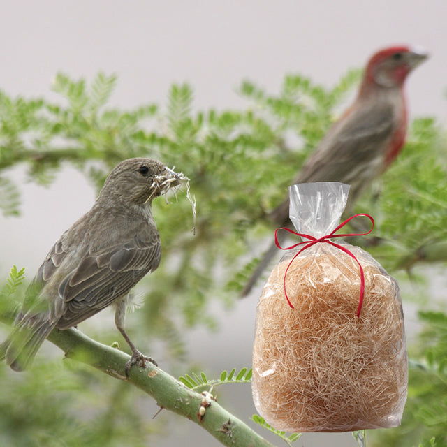 Bird perched on a branch near a 2 oz. bag of Aspen Nesting Refill, showcasing fine, shredded fibers ideal for bird nests.