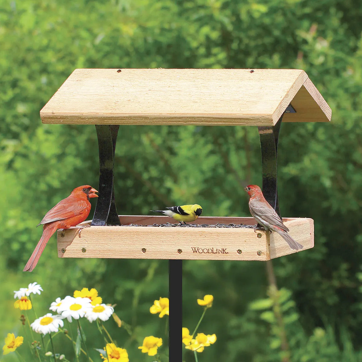 Woodlink Platform Feeder with roof, holding sunflower seeds. Features wrought-iron supports and mesh floor. Attracts various birds, including cardinal, goldfinch, and finch.